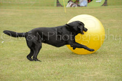 M&N Photography -4245