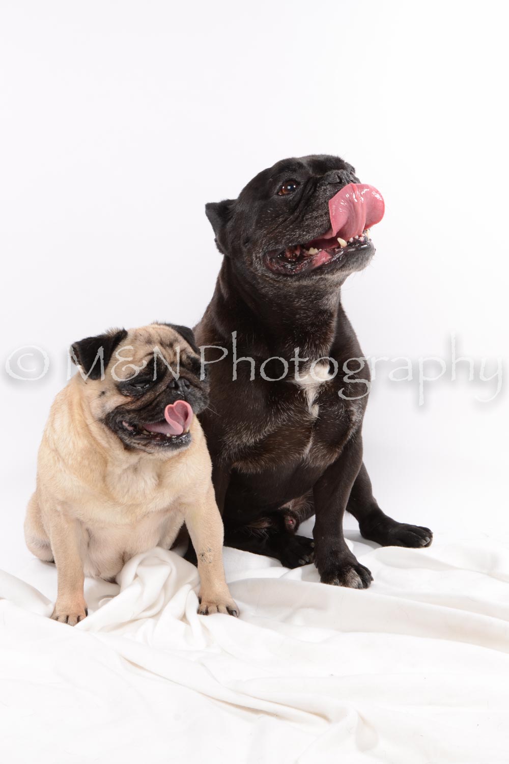 M&N Photography -DSC_9043