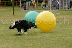 M&N Photography -4342