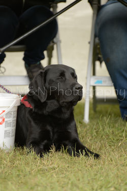 M&N Photography -4546