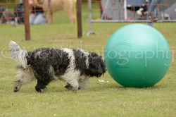 M&N Photography -4388