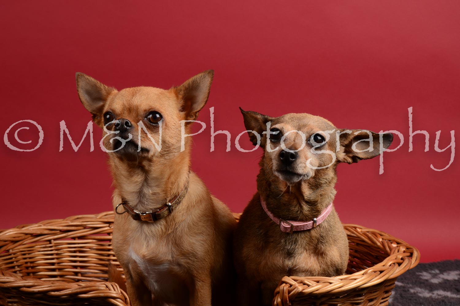 M&N Photography -DSC_8673