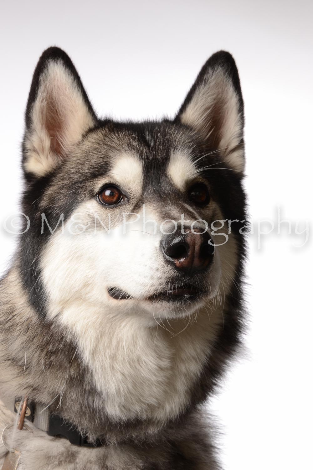 M&N Photography -DSC_8952