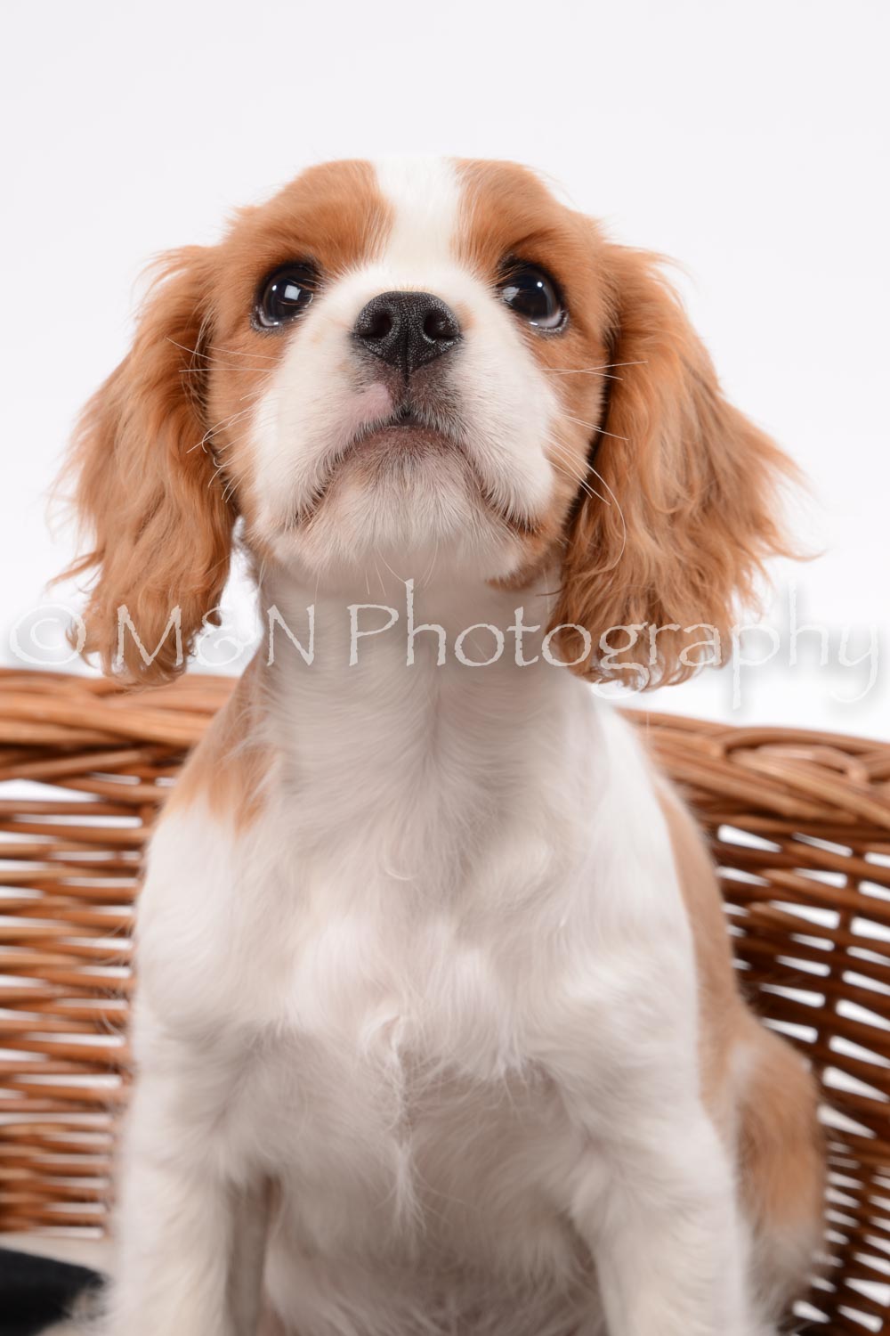 M&N Photography -DSC_9090