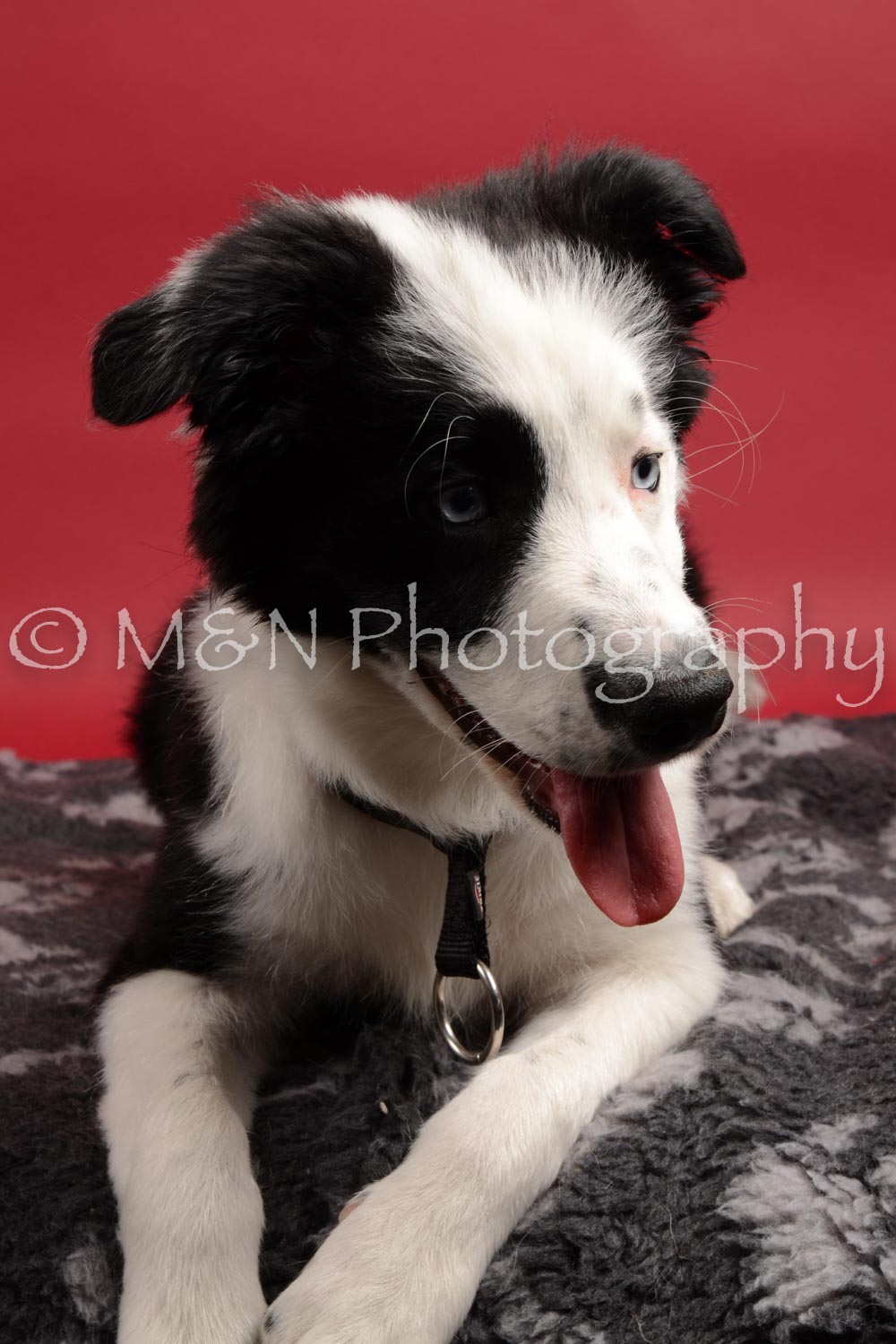 M&N Photography -DSC_8627