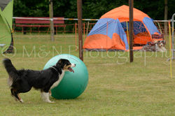 M&N Photography -4086