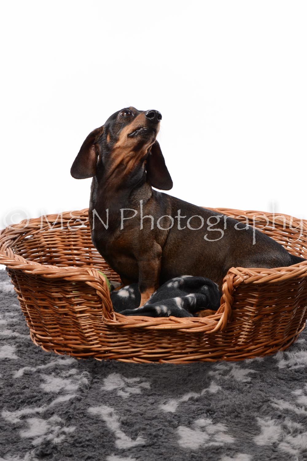 M&N Photography -DSC_8928