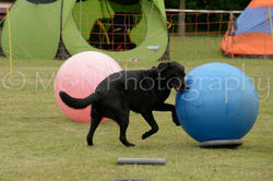 M&N Photography -4458