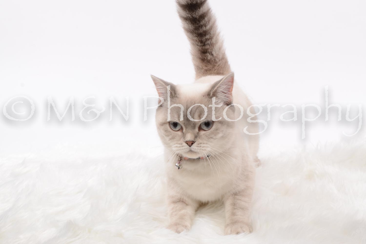 M&N Photography -DSC_8804