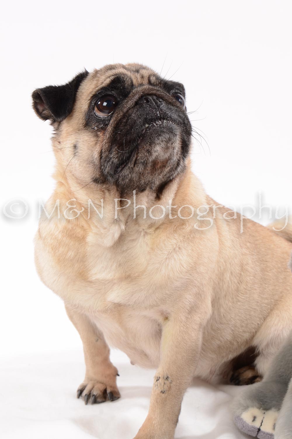 M&N Photography -DSC_9033