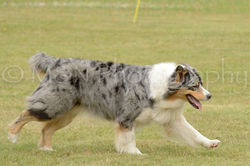 M&N Photography -4606