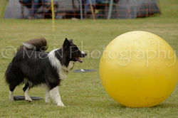 M&N Photography -4116