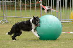 M&N Photography -4317