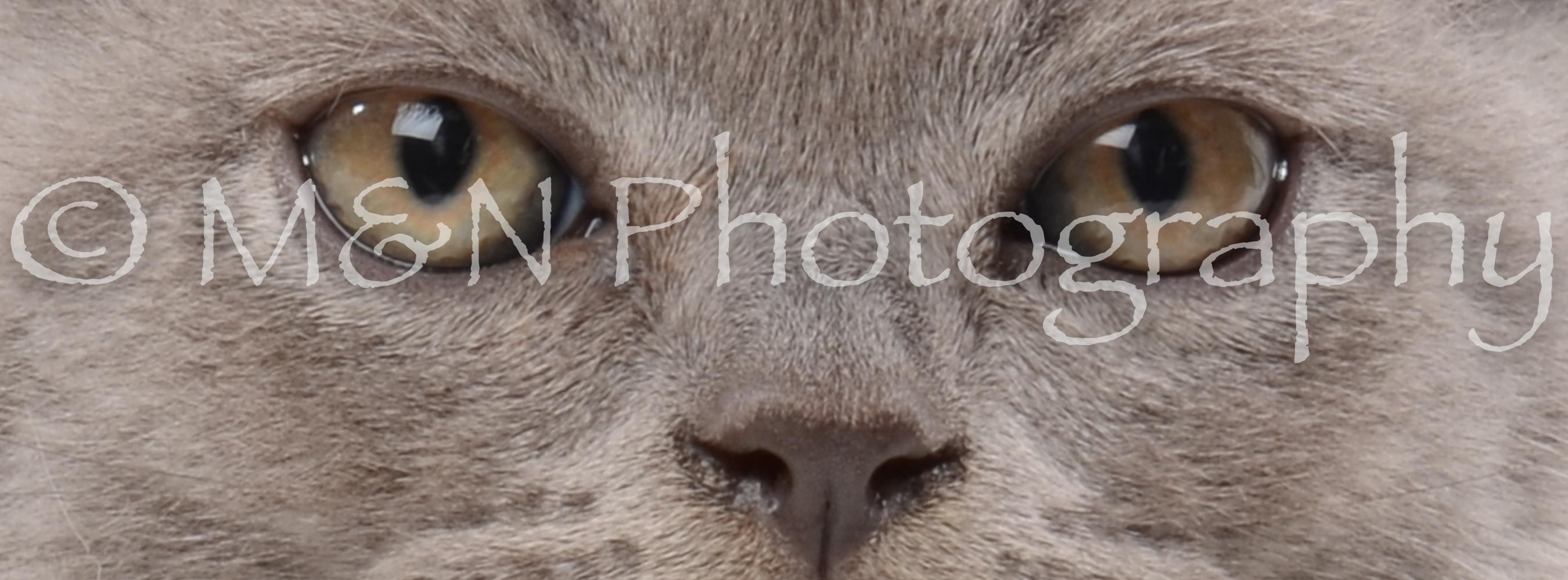 M&N Photography -DSC_8820