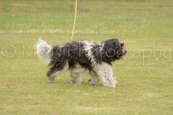 M&N Photography -4551