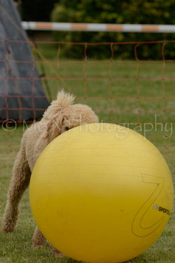 M&N Photography -4160