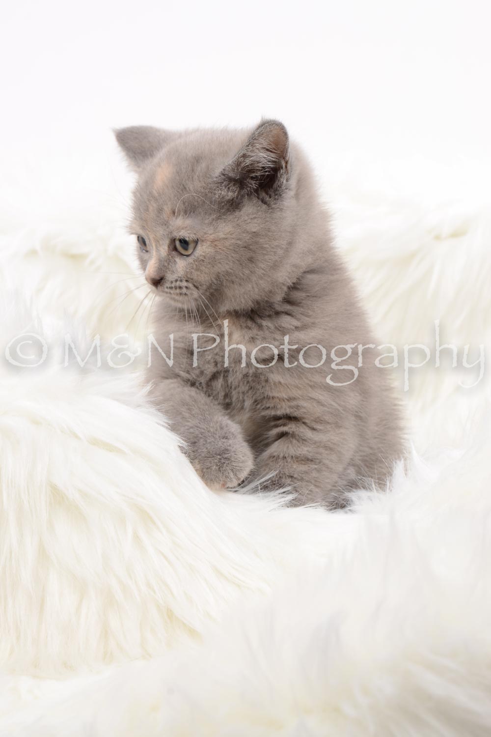 M&N Photography -DSC_8836