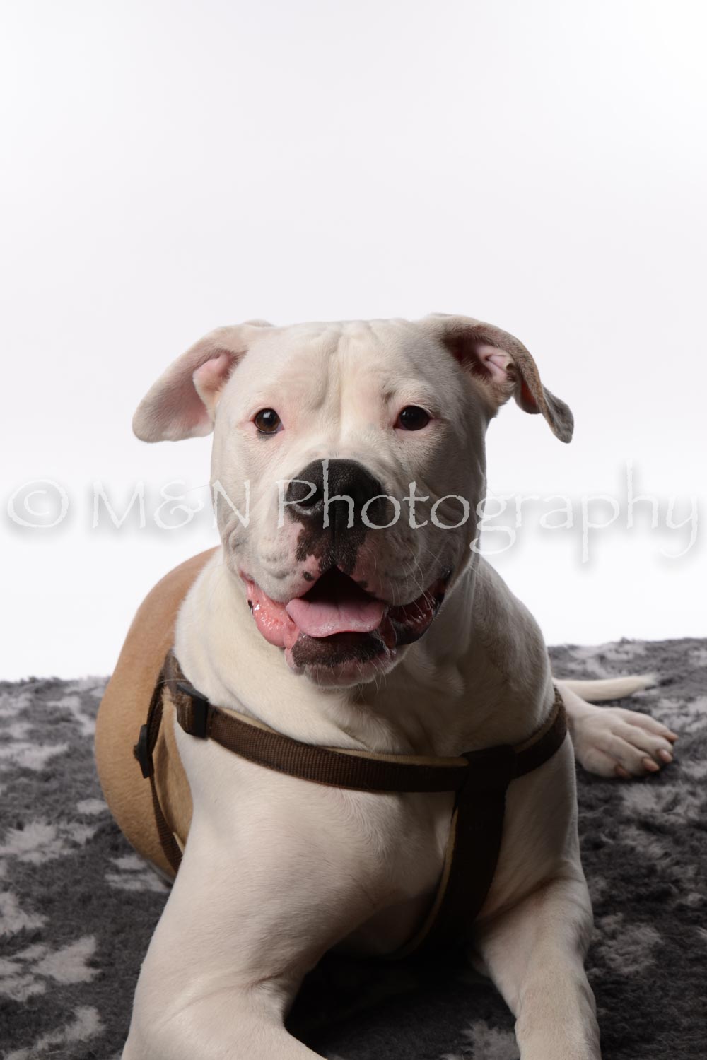 M&N Photography -DSC_8779