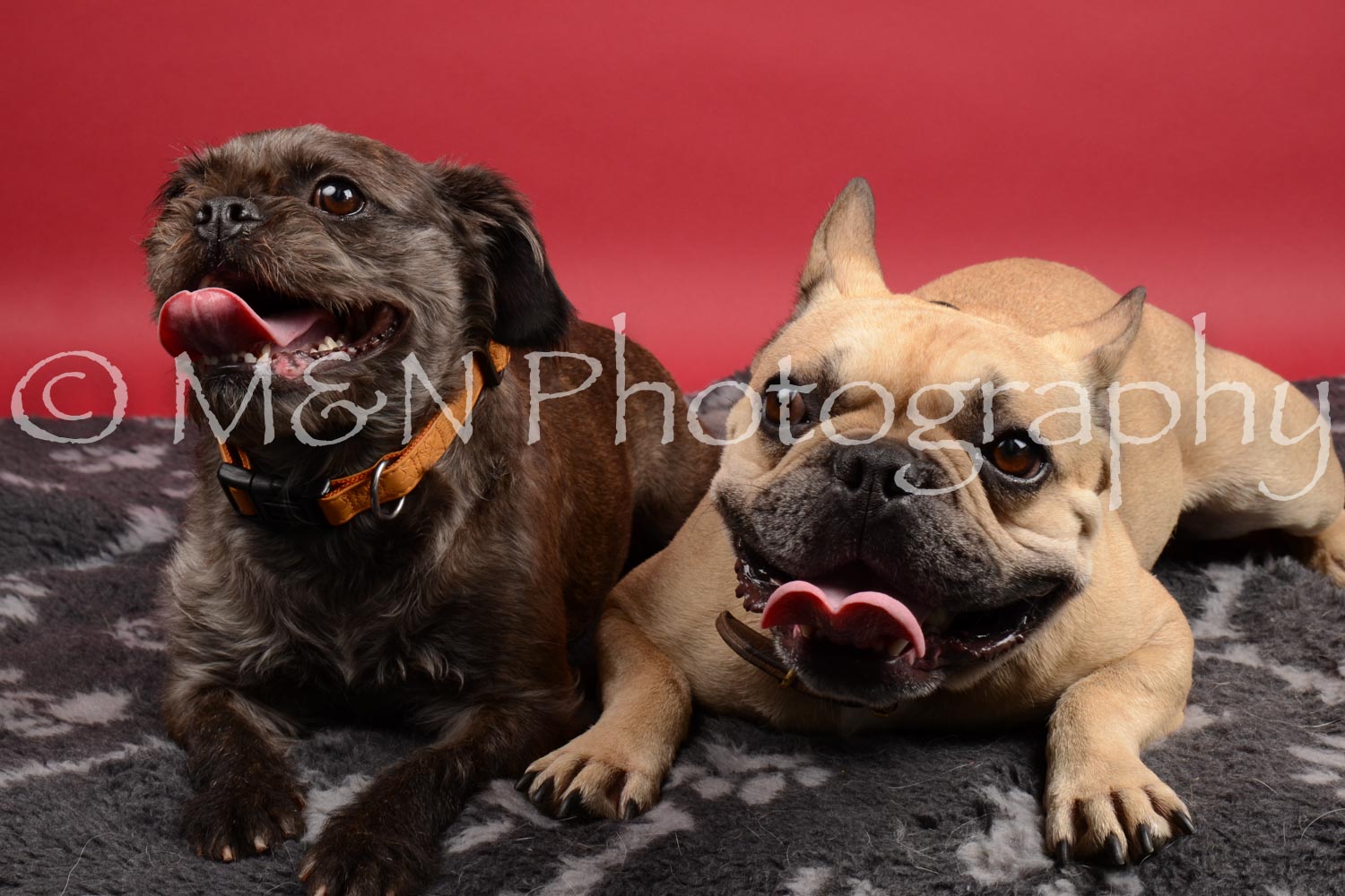 M&N Photography -DSC_8501