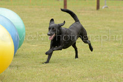 M&N Photography -4394