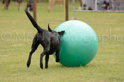 M&N Photography -4415