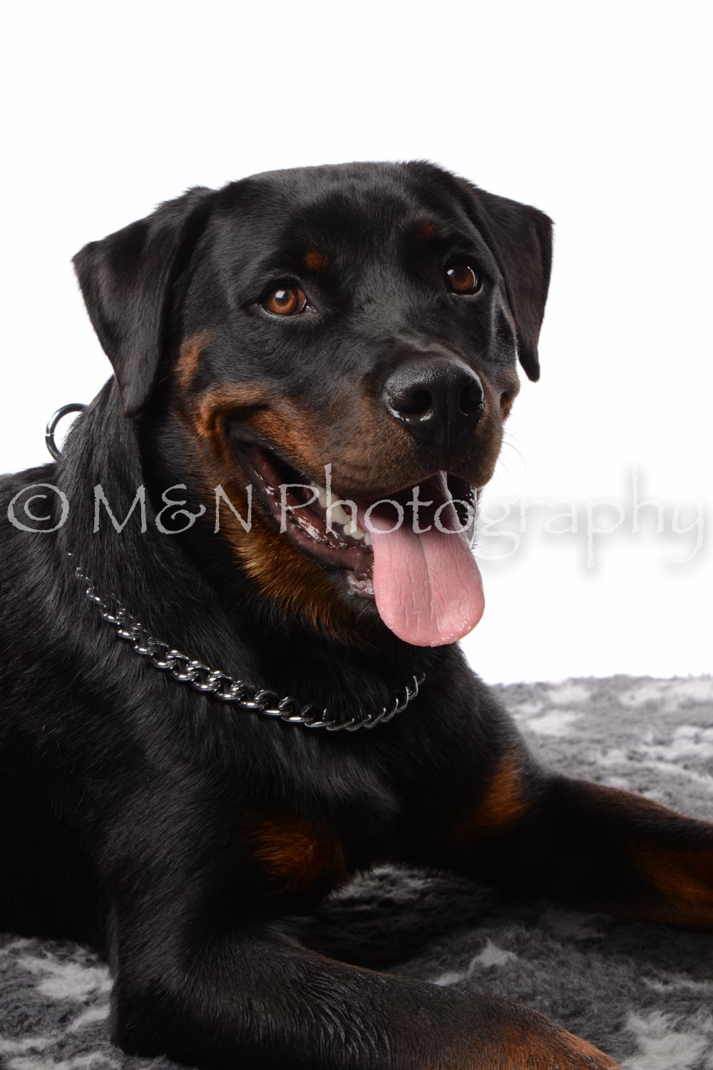 M&N Photography -DSC_8912