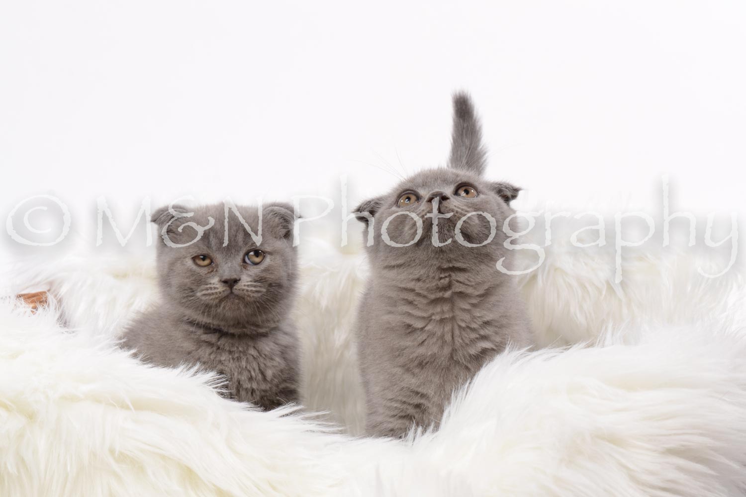 M&N Photography -DSC_8823