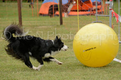 M&N Photography -4135