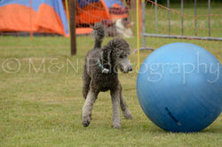 M&N Photography -4074