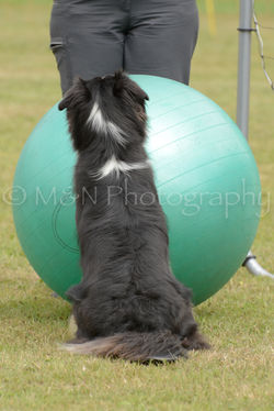 M&N Photography -4477