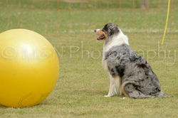 M&N Photography -4615