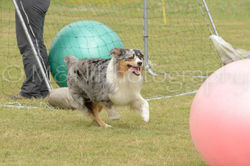 M&N Photography -4599