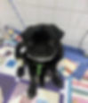 Photo of Walter the pug in the vet hospital
