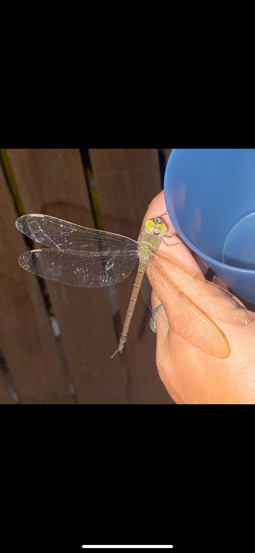 classic logo simple.png