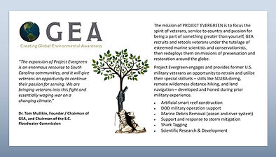 GEA Project Evergreen one page.jpg