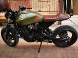 Honda Hornet