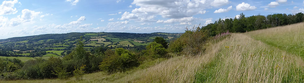 JuniperHill_Panorama_Copyright_DeborahRoberts_P1110077_LowRes.jpg