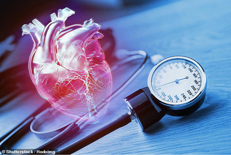 Understanding Hypertension: Taking Control of Your Blood Pressure