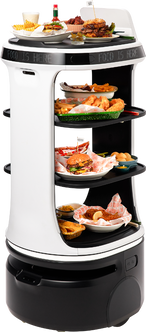 Black and white serving robot