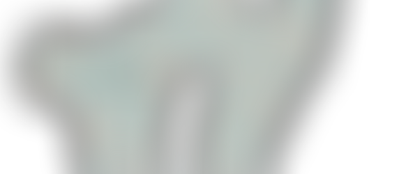 タマさんのにちよう日