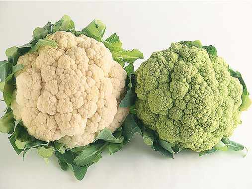 CAVOLFIORE BIANCO e VERDE