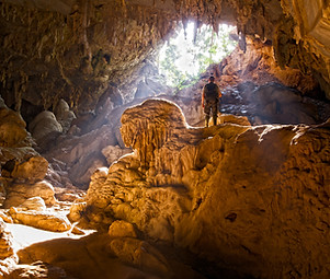 Cave Explorer