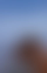 O ser mais bonito que tive a sorte de conhecer 