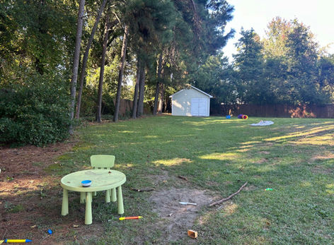 Falling and damaged back fence line in need of repair.