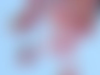 Spring Reset: Declutter Your Life, Work & Mind for New Growth 