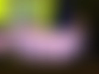 Remember Why You Started