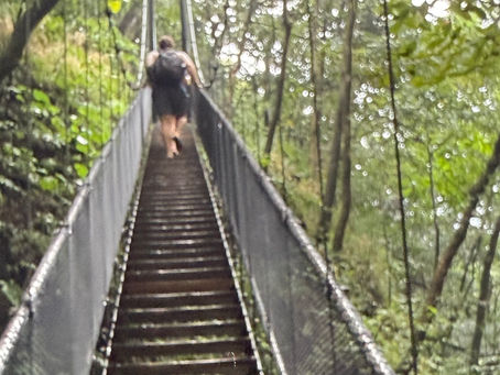 The Paradox of Self-Awareness: A Call to Introspection and Growth