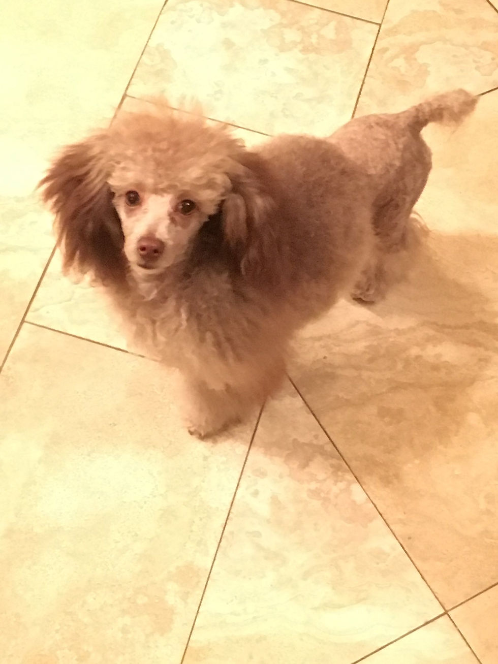 535279698_10240085396099031_7960426877950908198_n