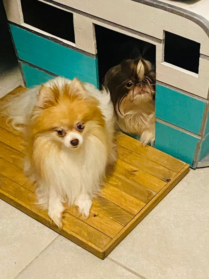 533939619_10240002688591395_2764866023772217202_n