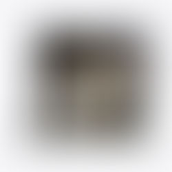 Die eigene Wahrheit finden – Warum dieses Buch nicht nur ein Buch ist, sondern ein Wegbegleiter